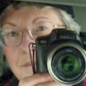 Meet your Posher, Cyndy